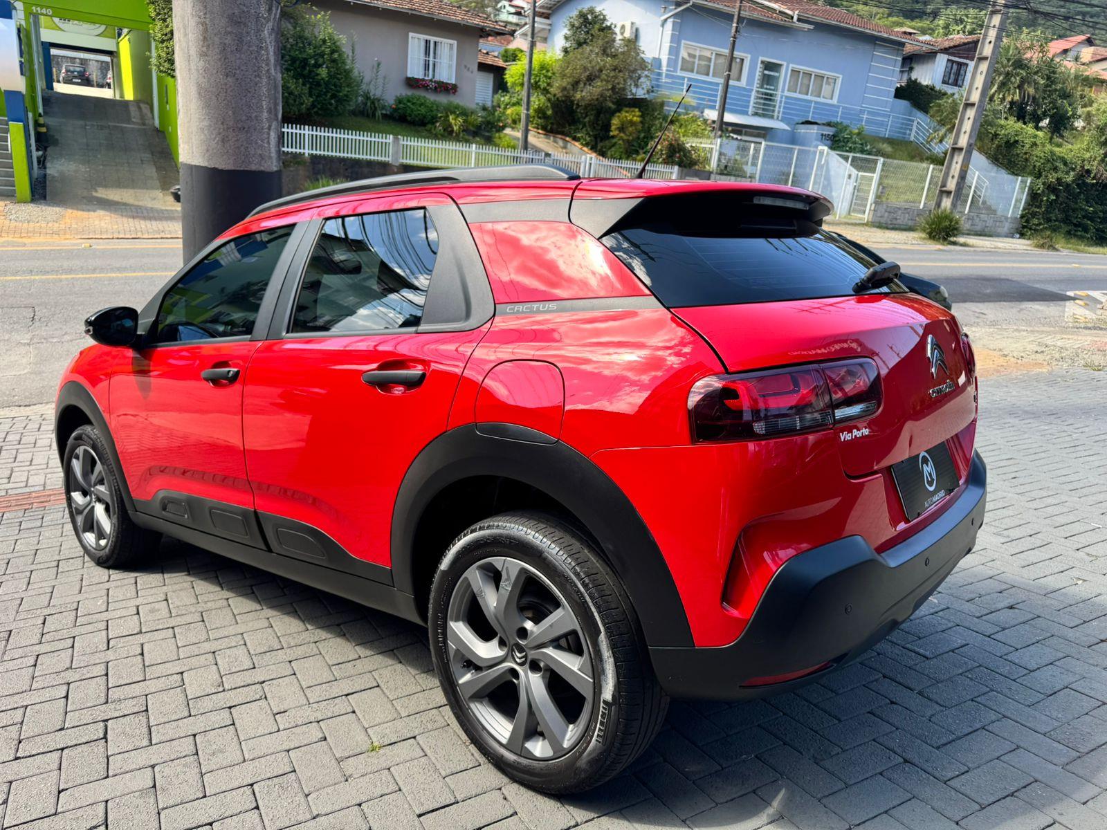 C4 CACTUS