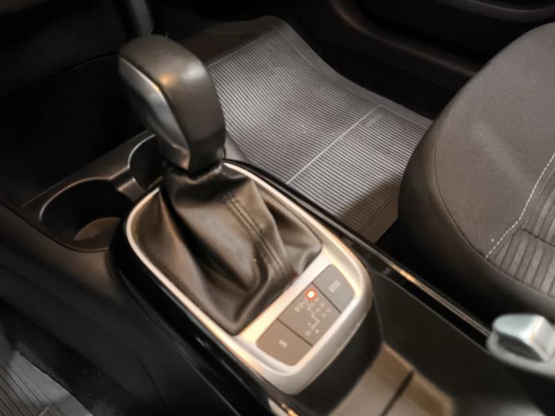 C4 CACTUS