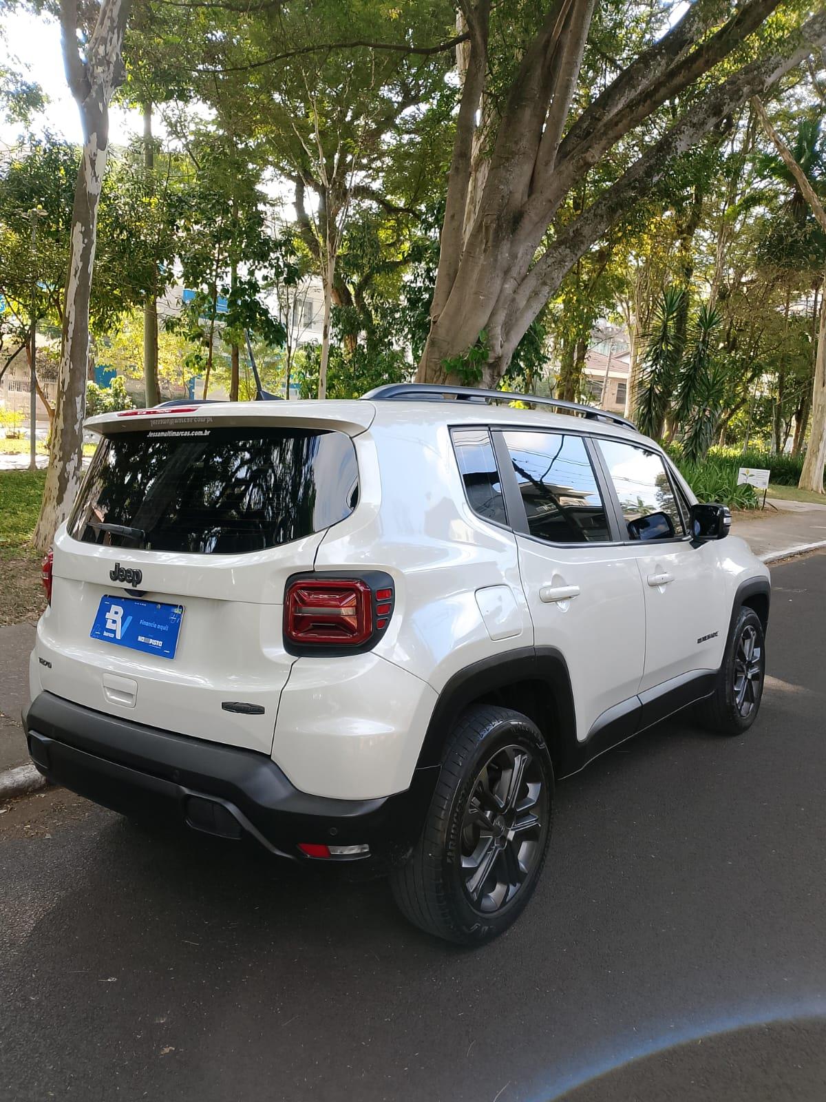 RENEGADE