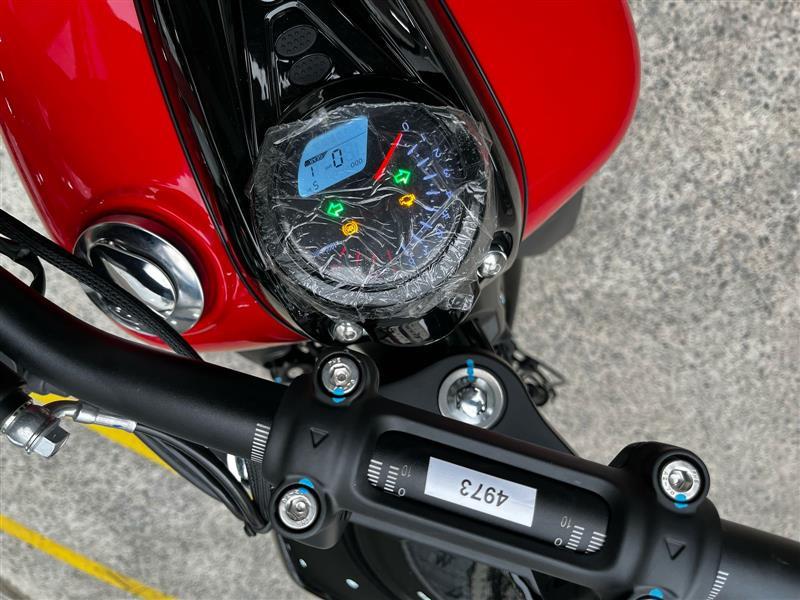 IRON 250