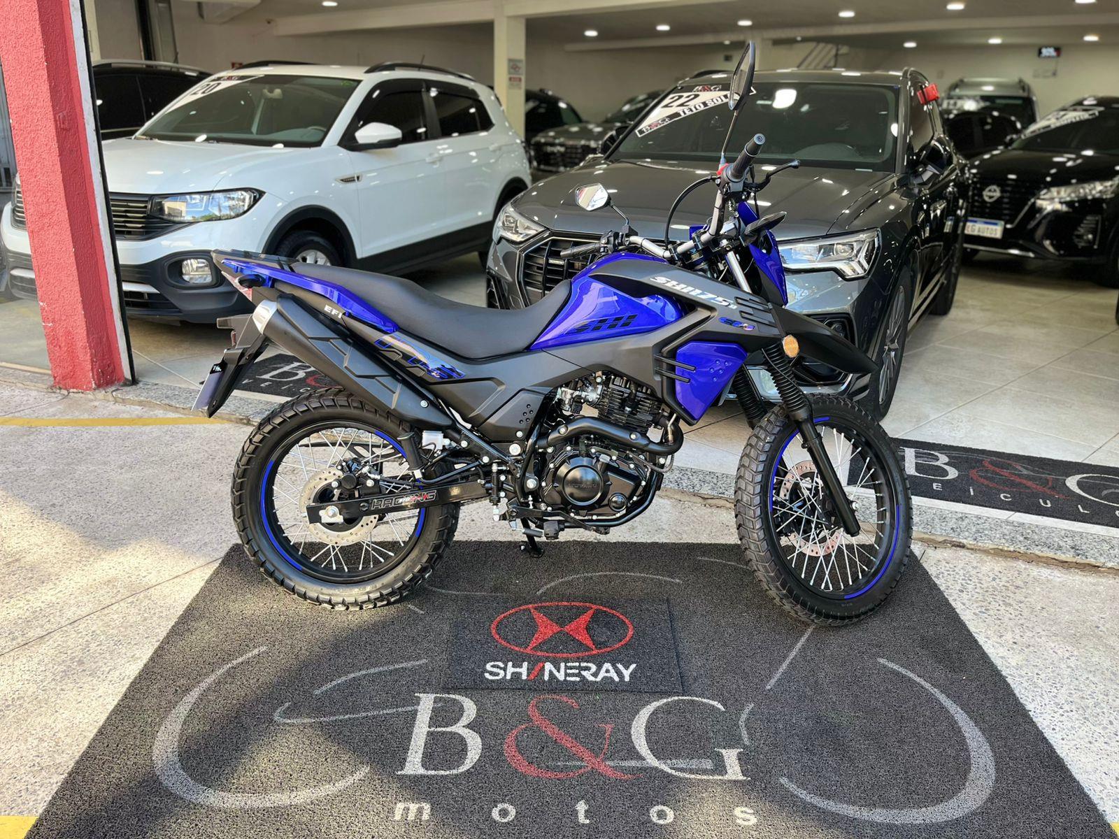 SHI 175 SS EFI