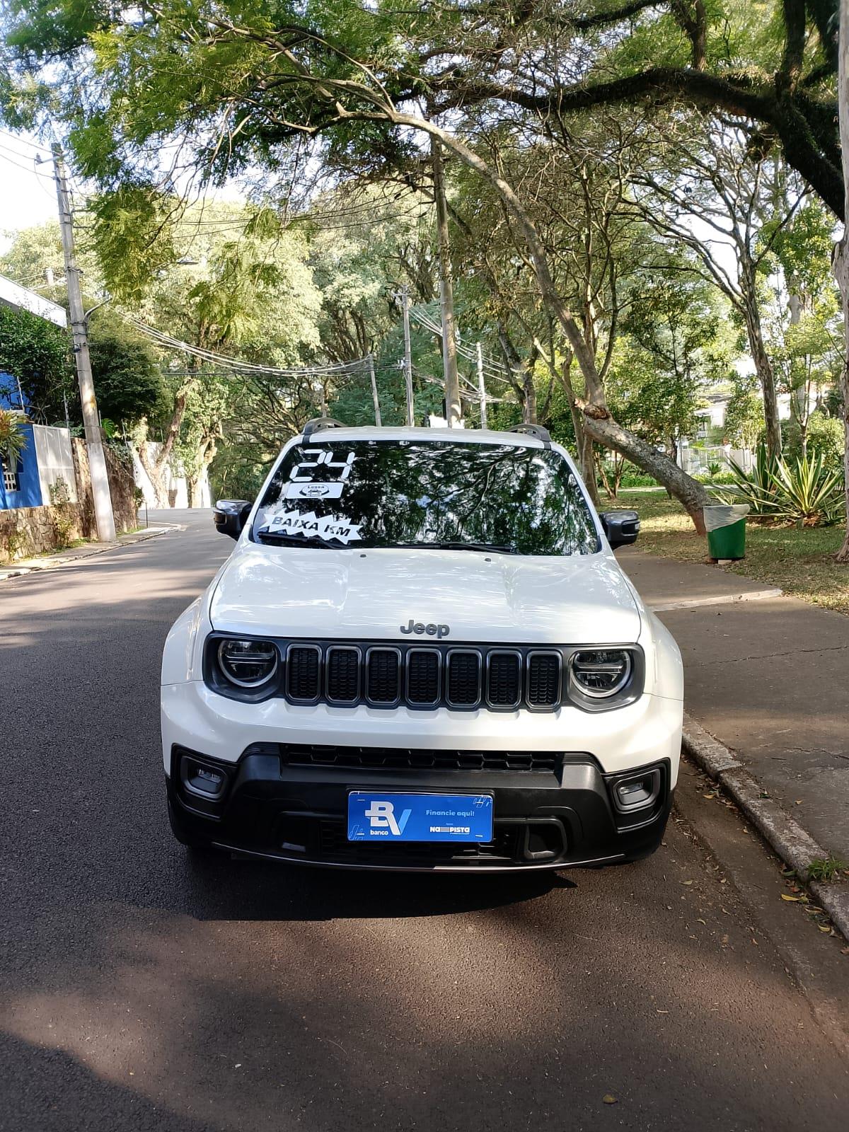 RENEGADE