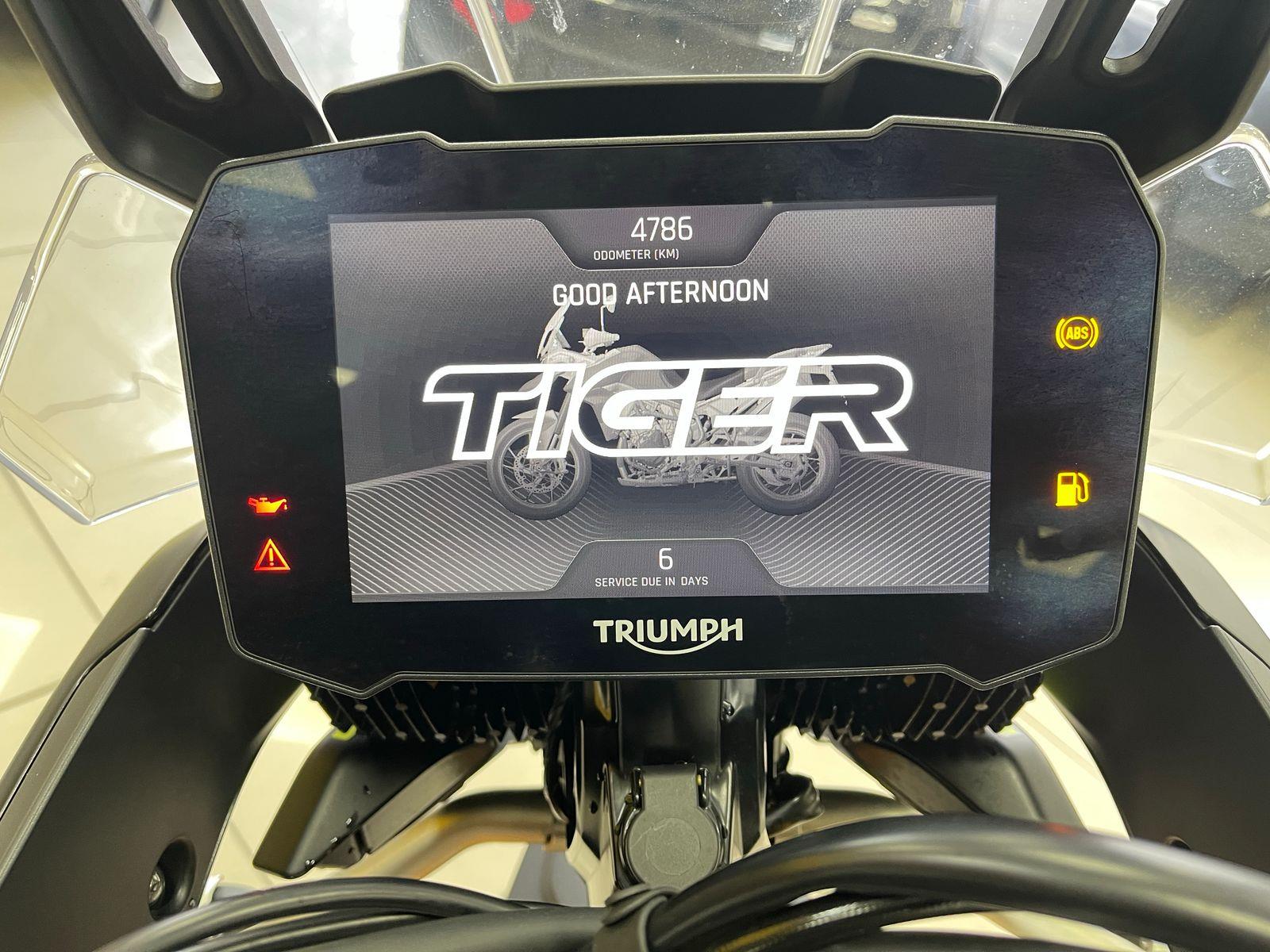 TIGER 900 RALLY ARAGÓN