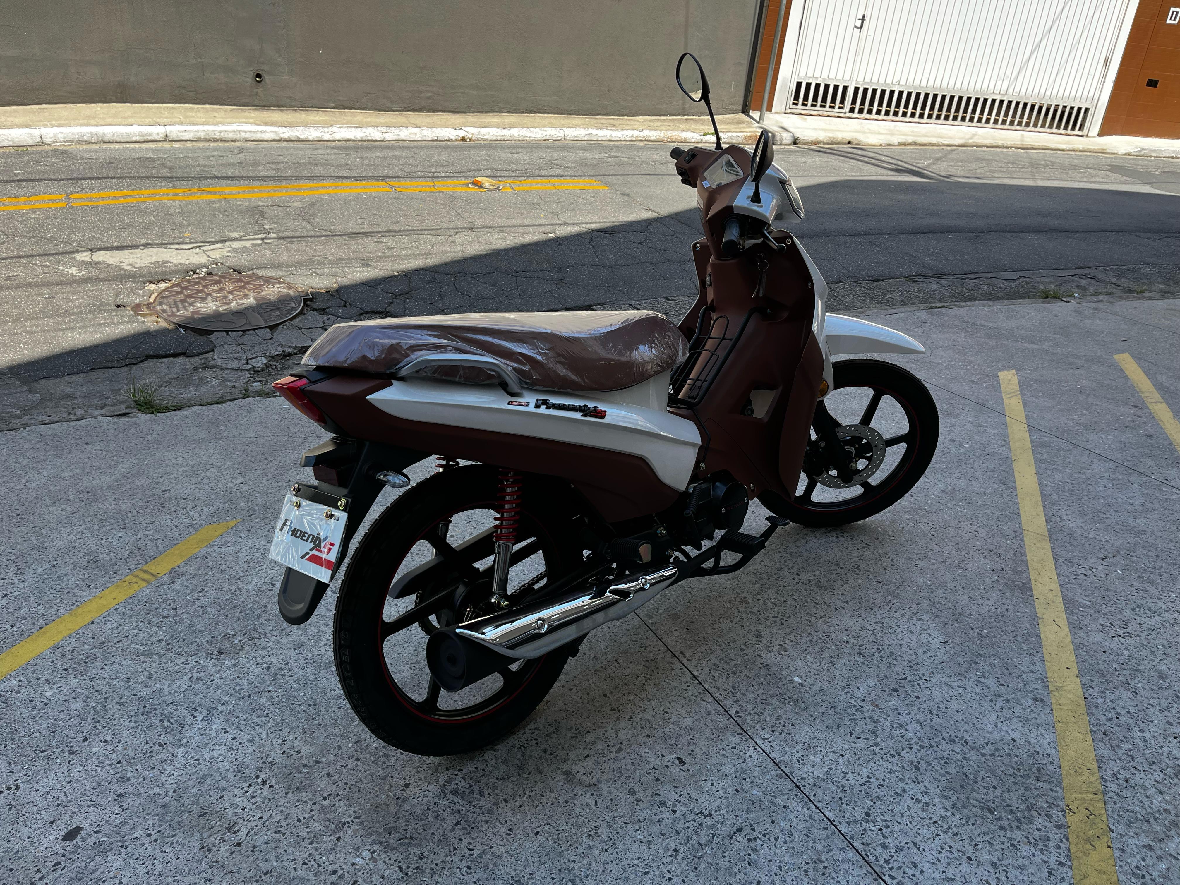 PHOENIX S EFI