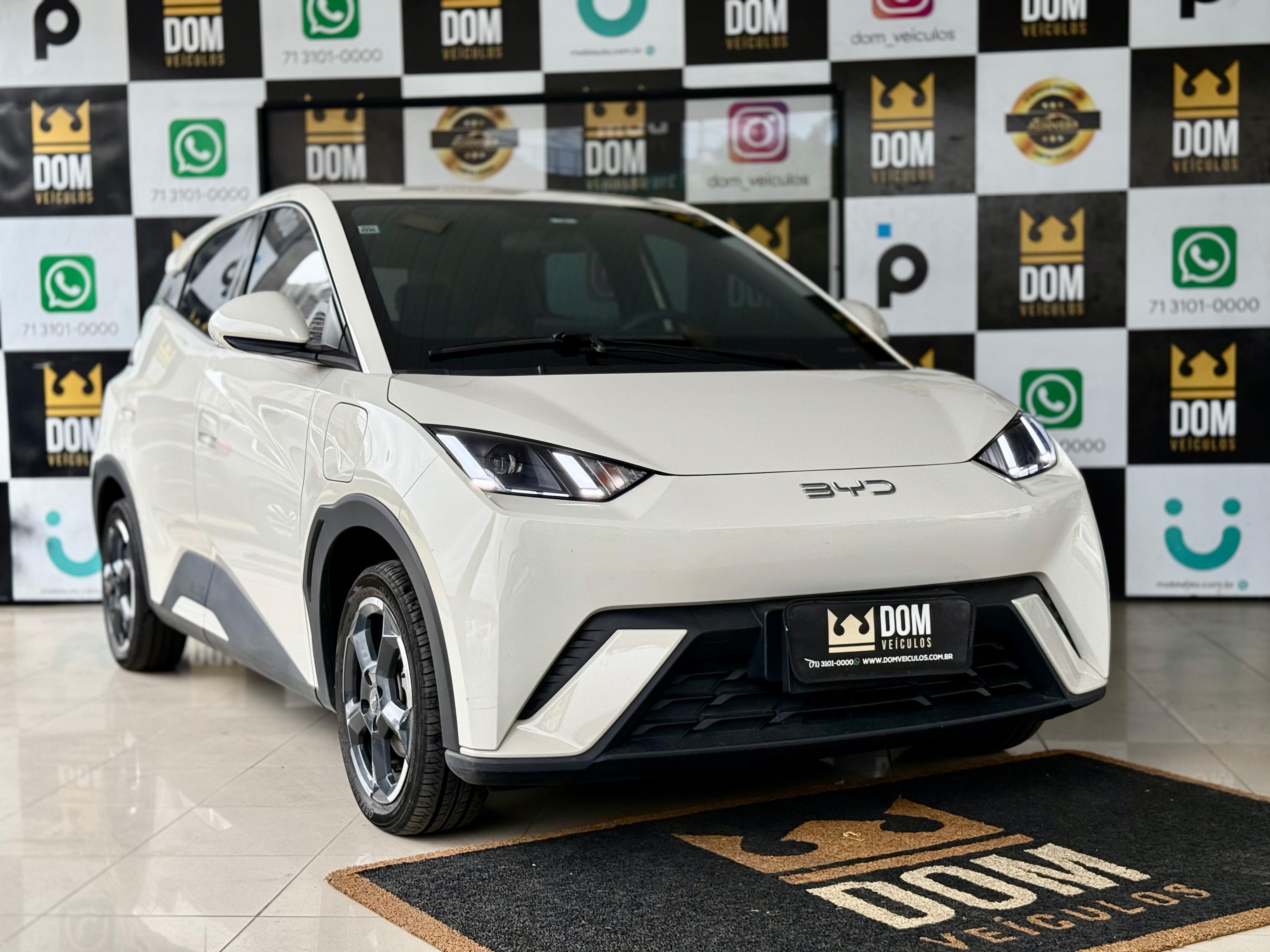 BYD DOLPHIN MINI