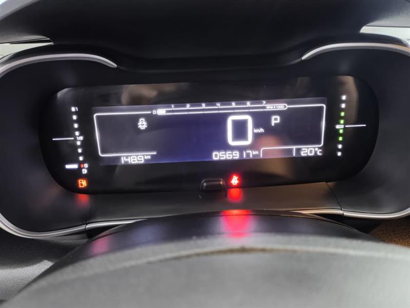 C4 CACTUS