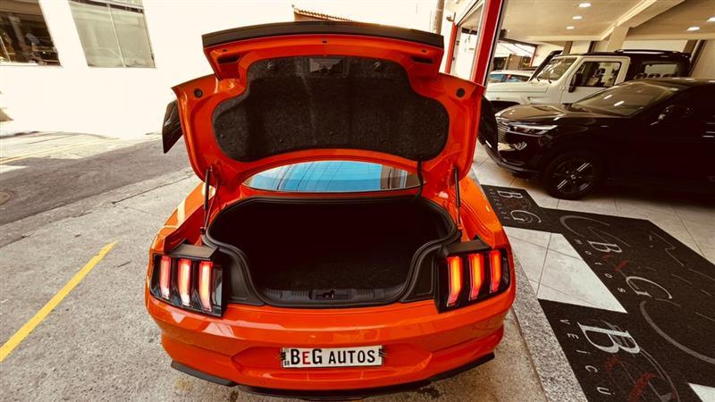 MUSTANG