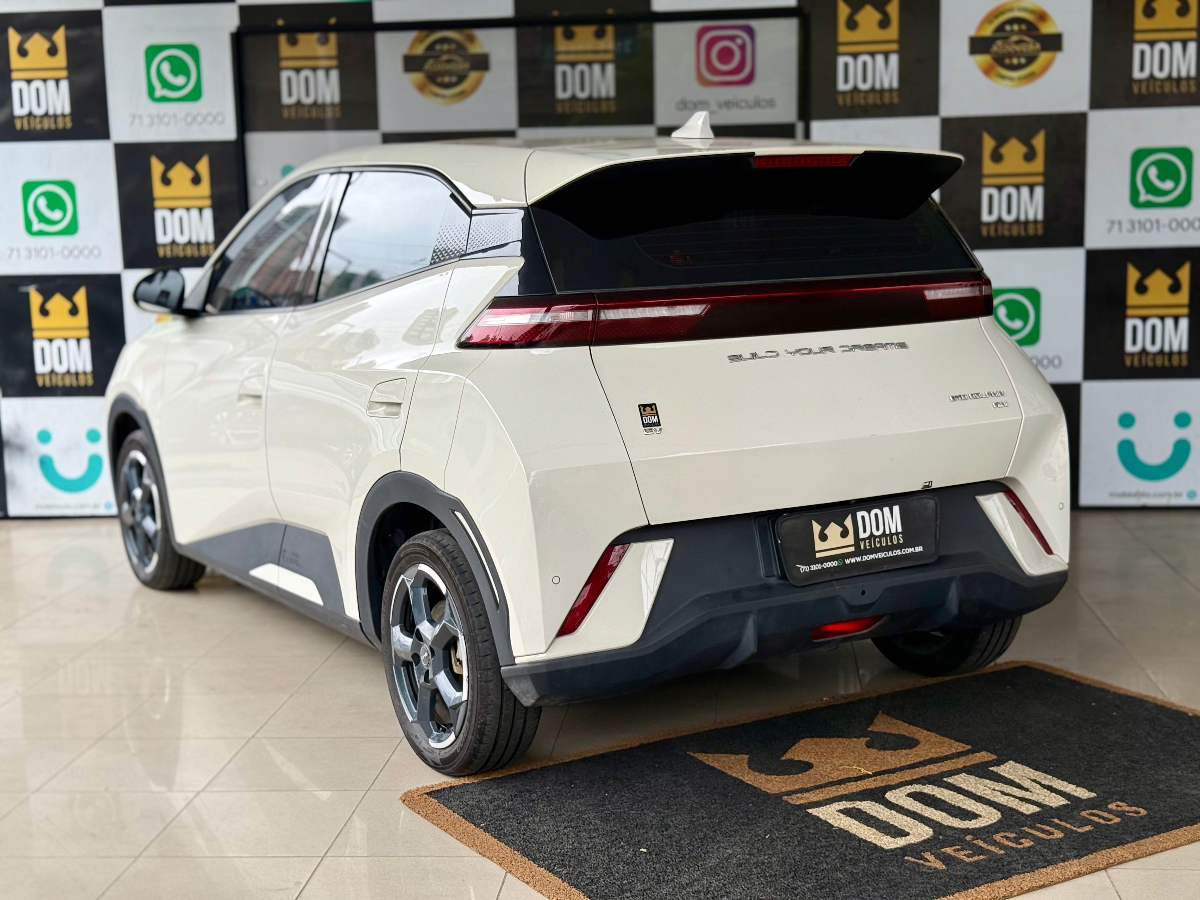 BYD DOLPHIN MINI