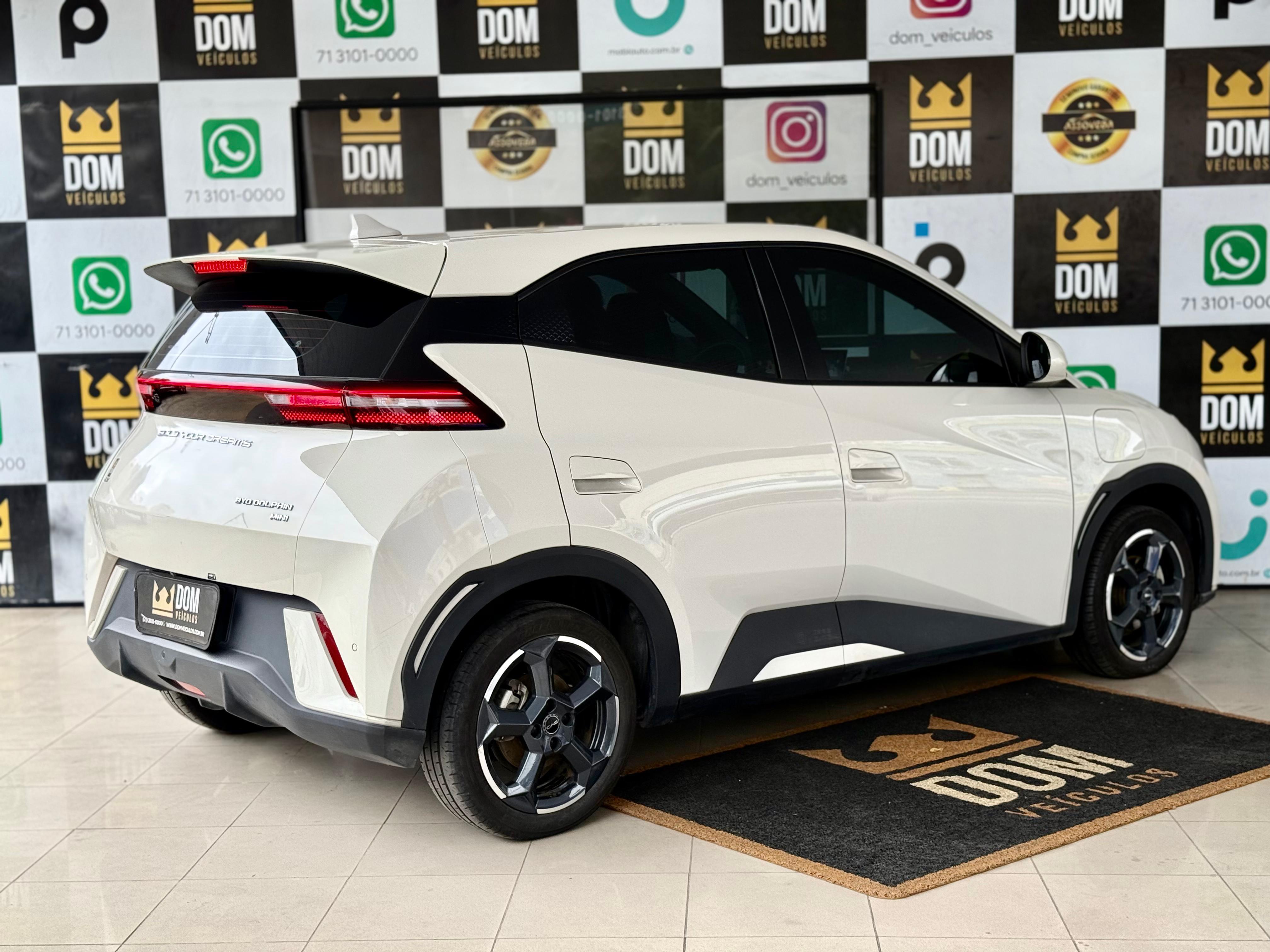 BYD DOLPHIN MINI