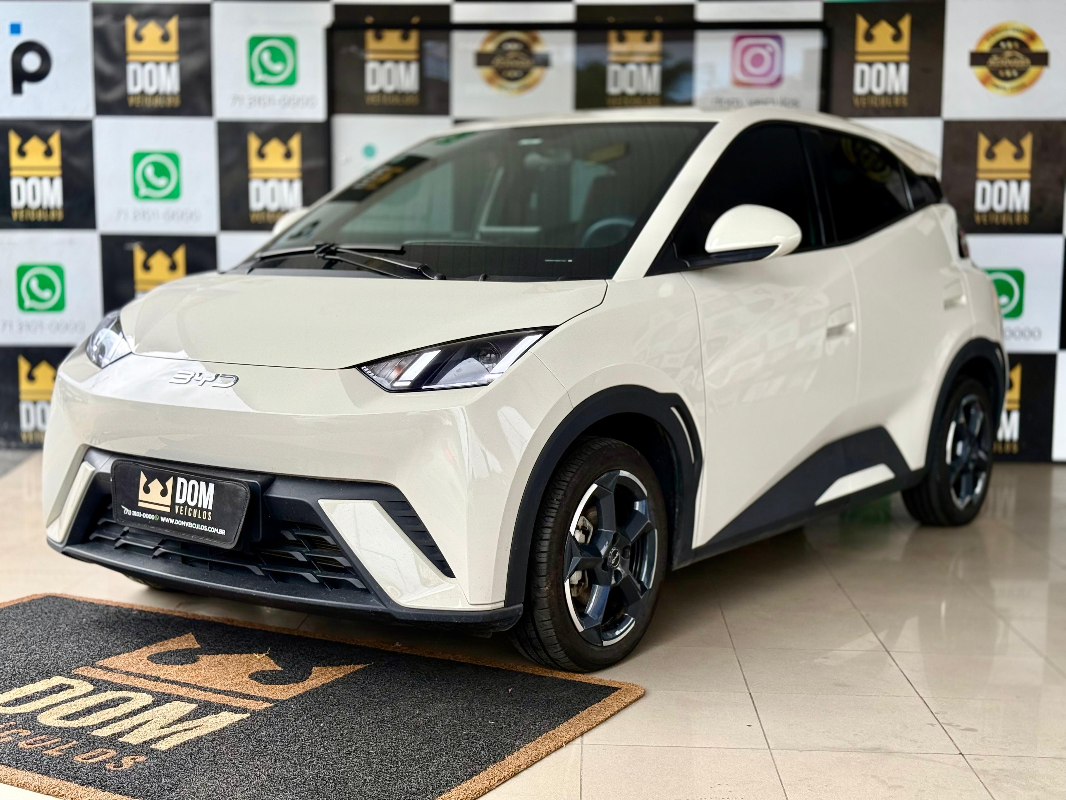 BYD DOLPHIN MINI