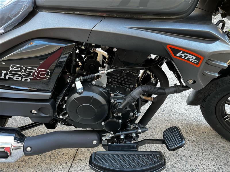 IRON 250