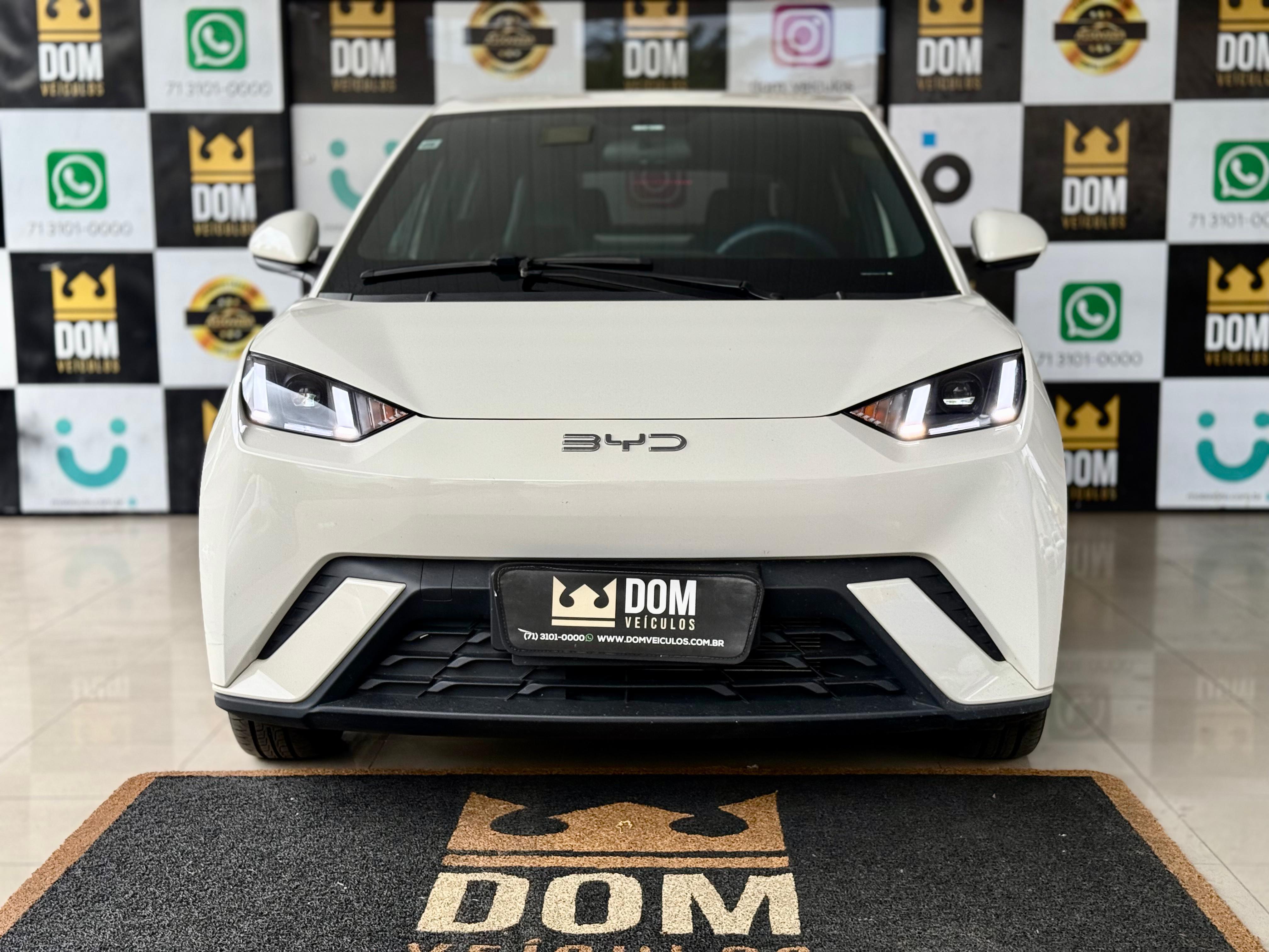 BYD DOLPHIN MINI