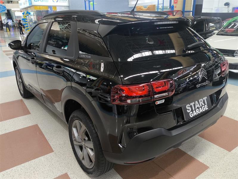 C4 CACTUS