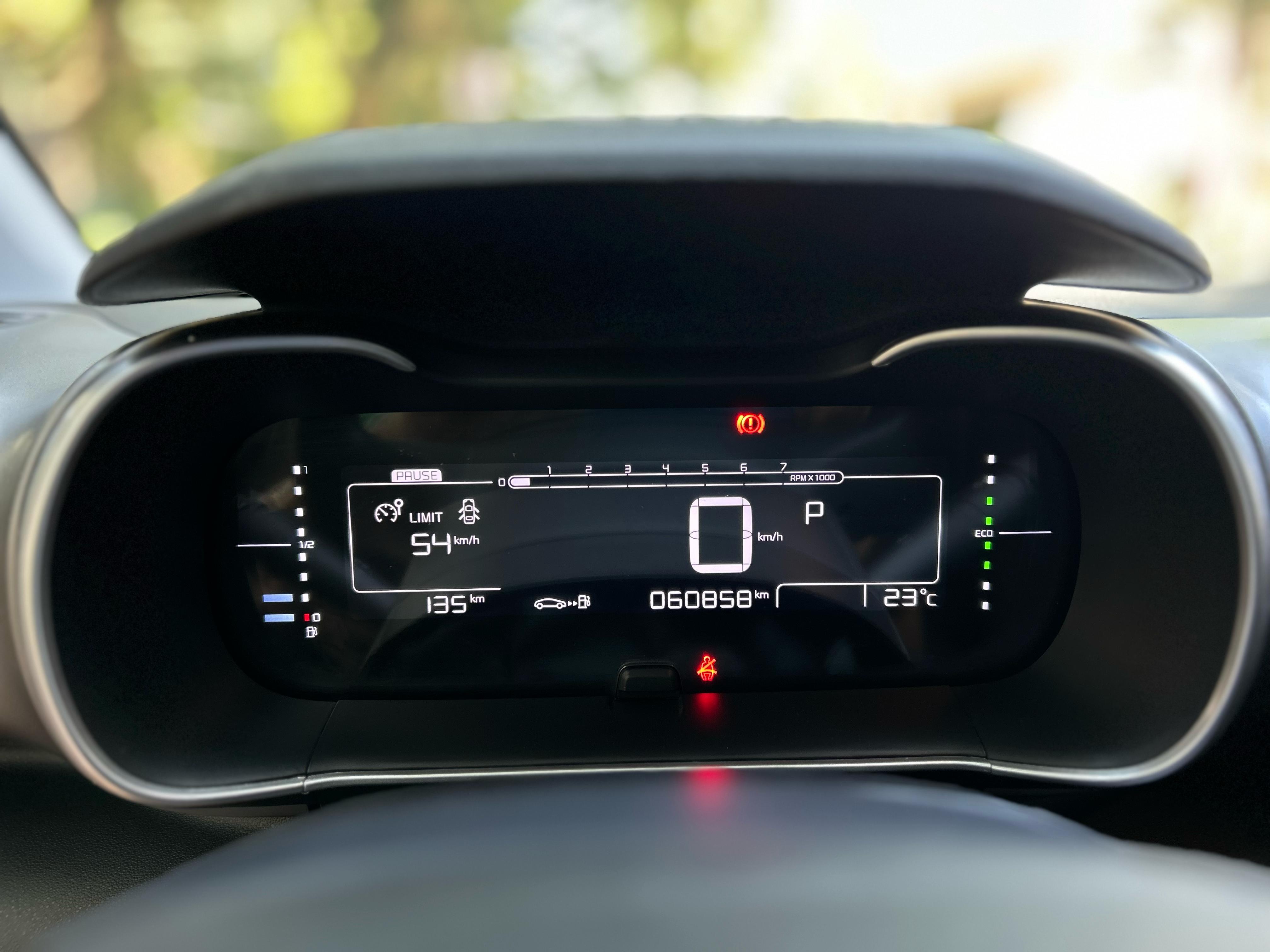 C4 CACTUS