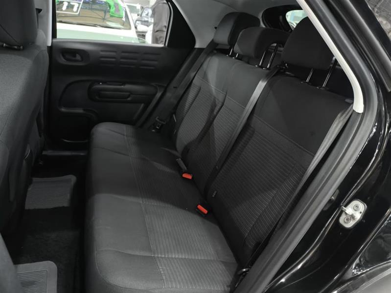 C4 CACTUS