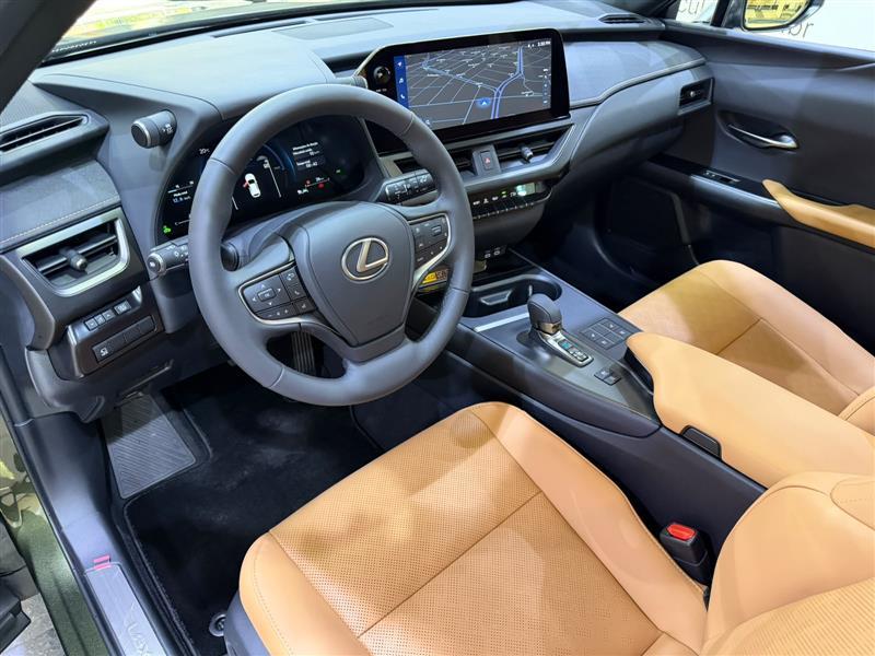 UX 300H