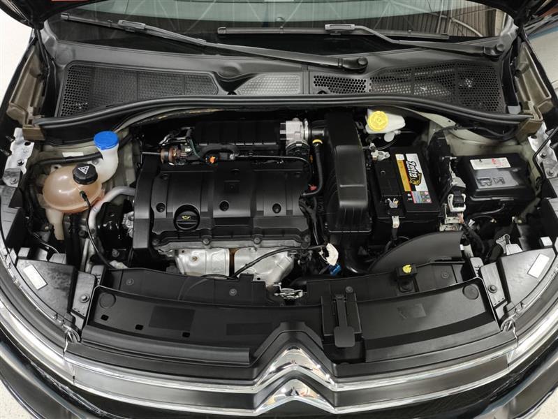 C4 CACTUS
