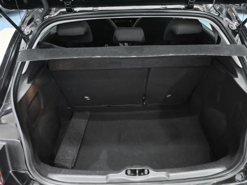 C4 CACTUS