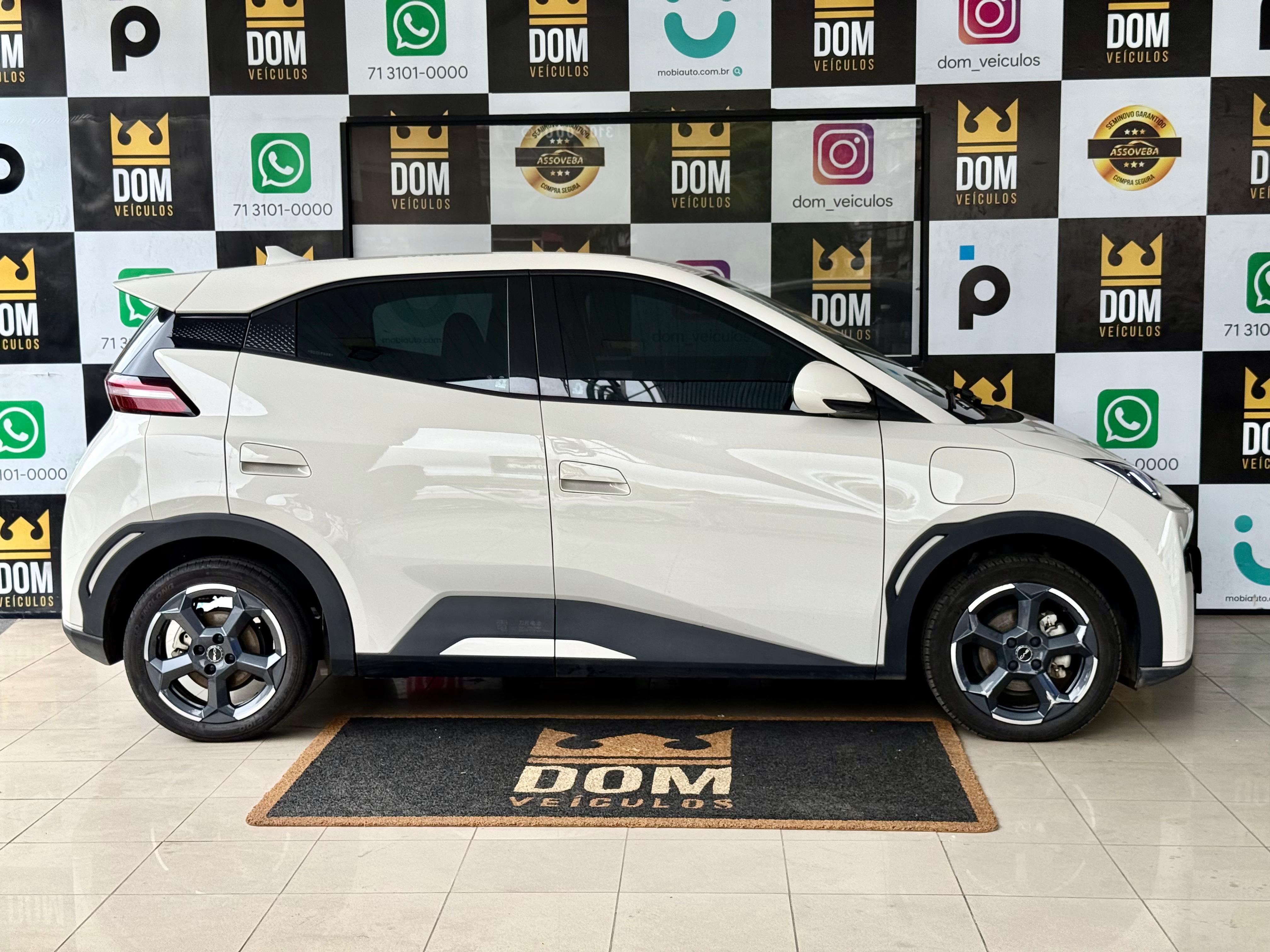 BYD DOLPHIN MINI