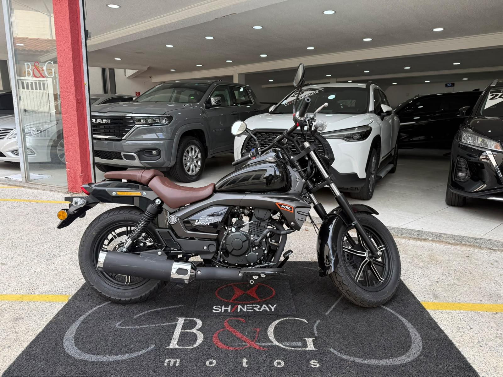 IRON 250