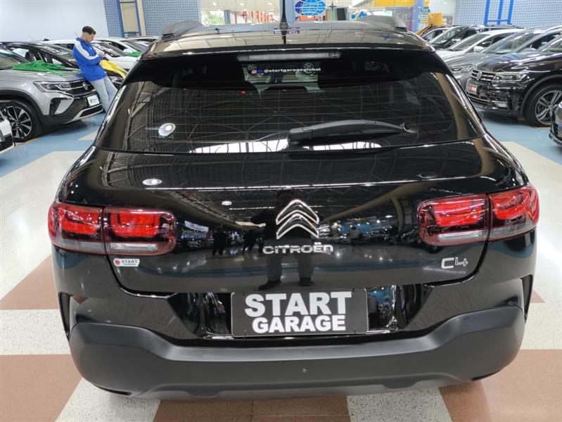 C4 CACTUS