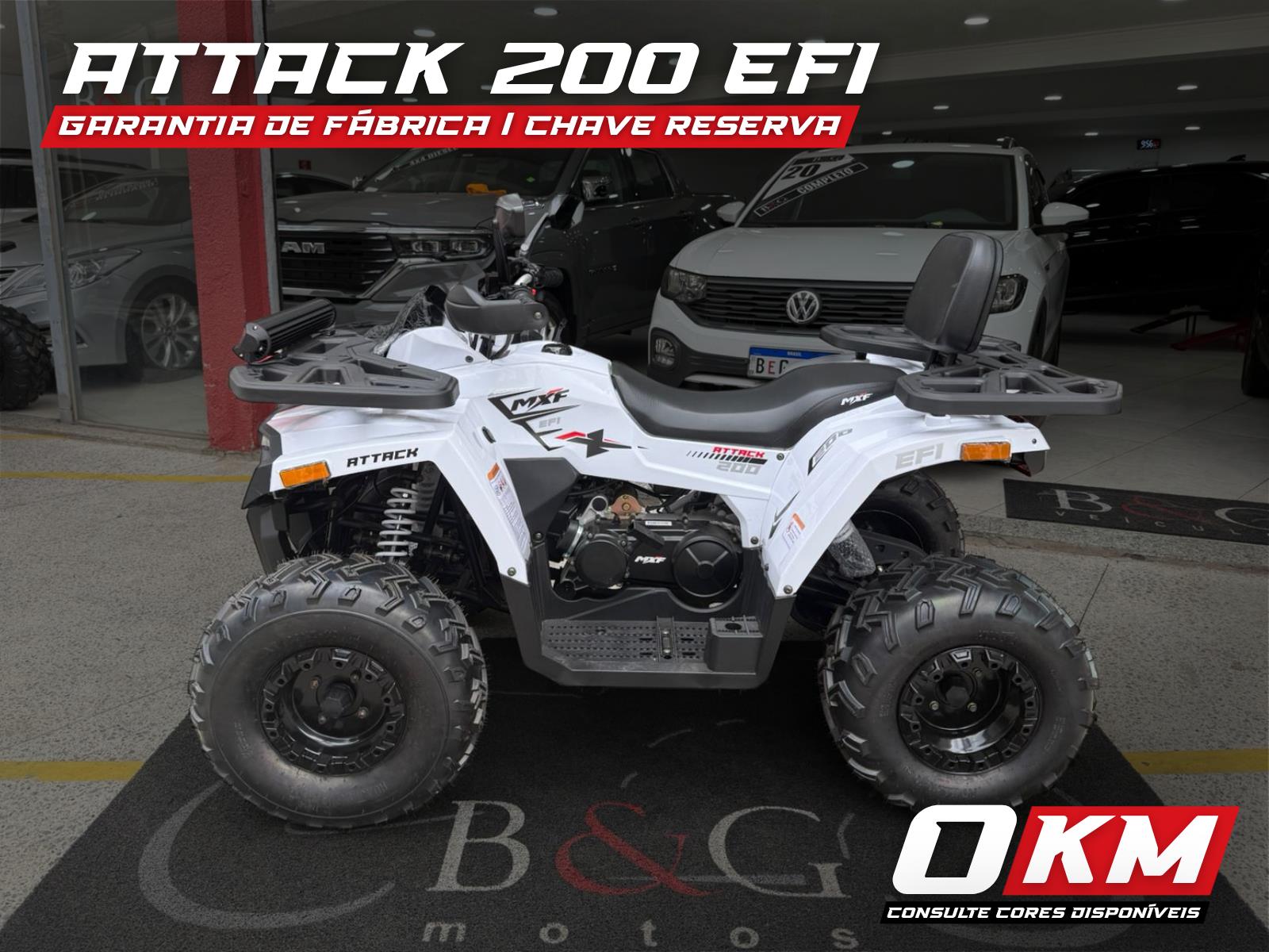 B&G Veículos