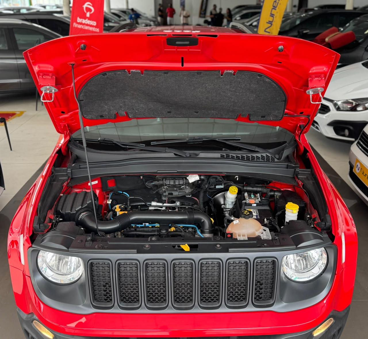 RENEGADE