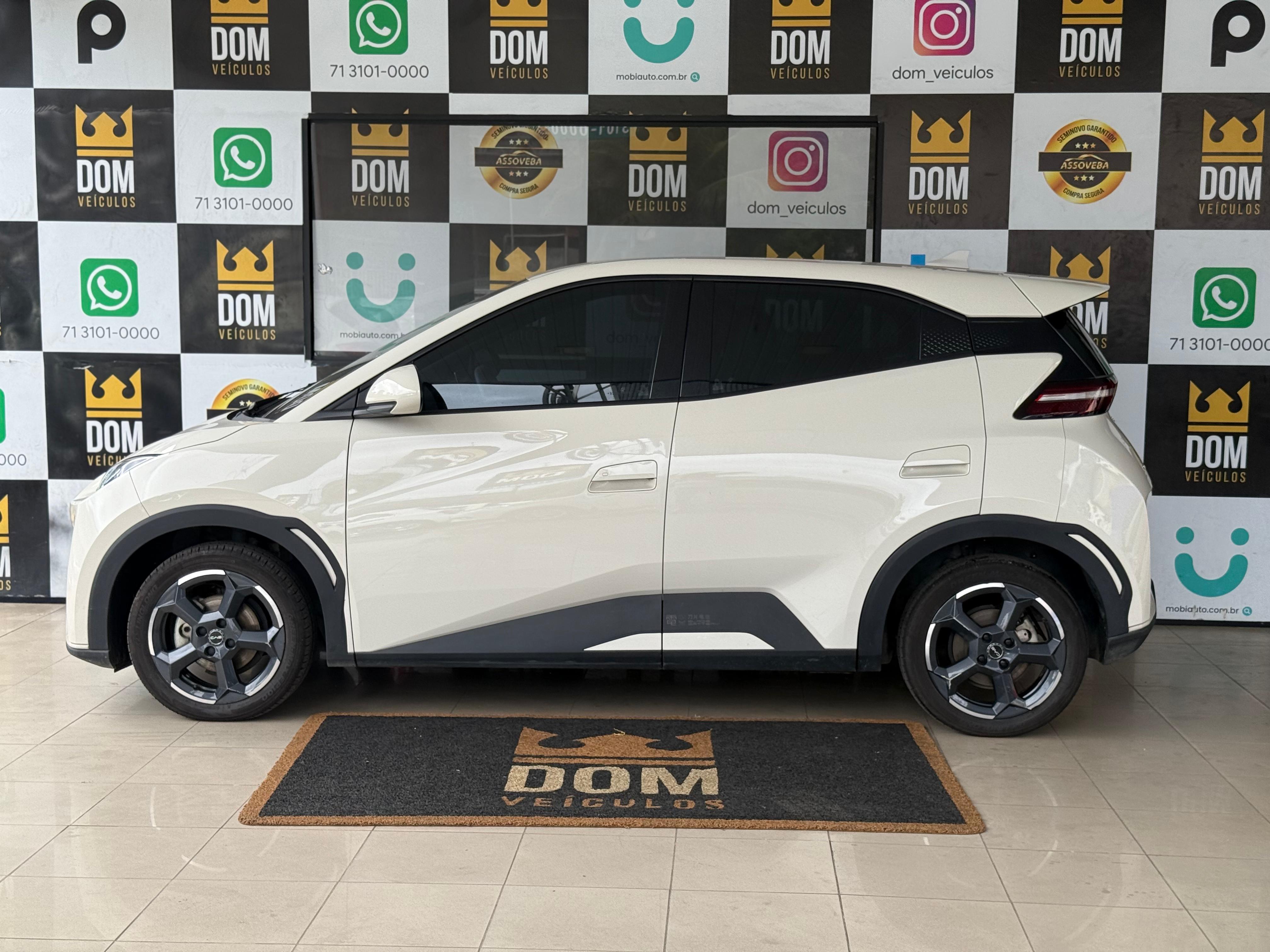BYD DOLPHIN MINI