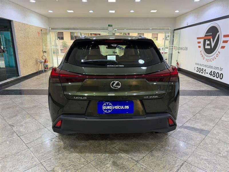 UX 300H