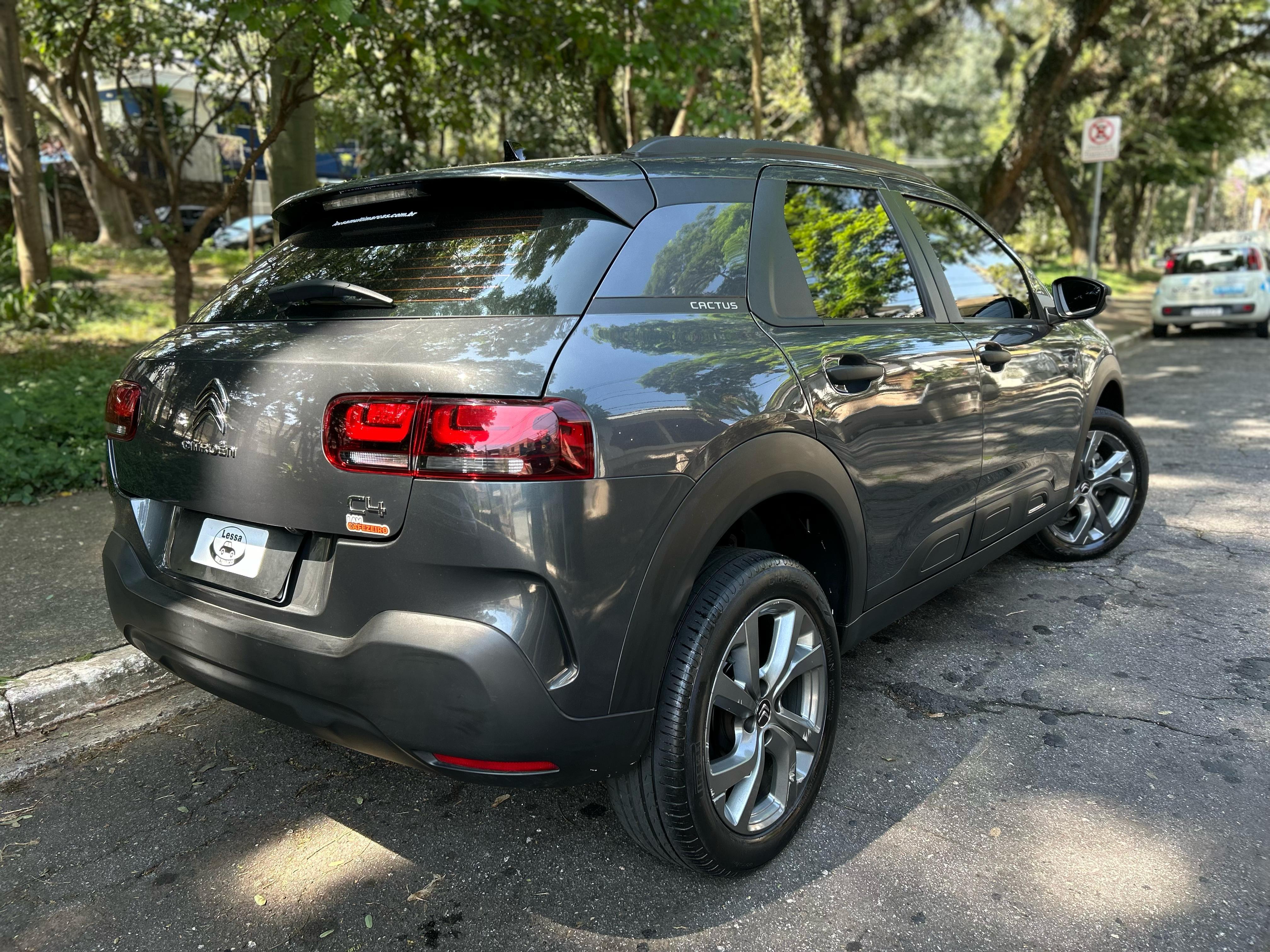 C4 CACTUS