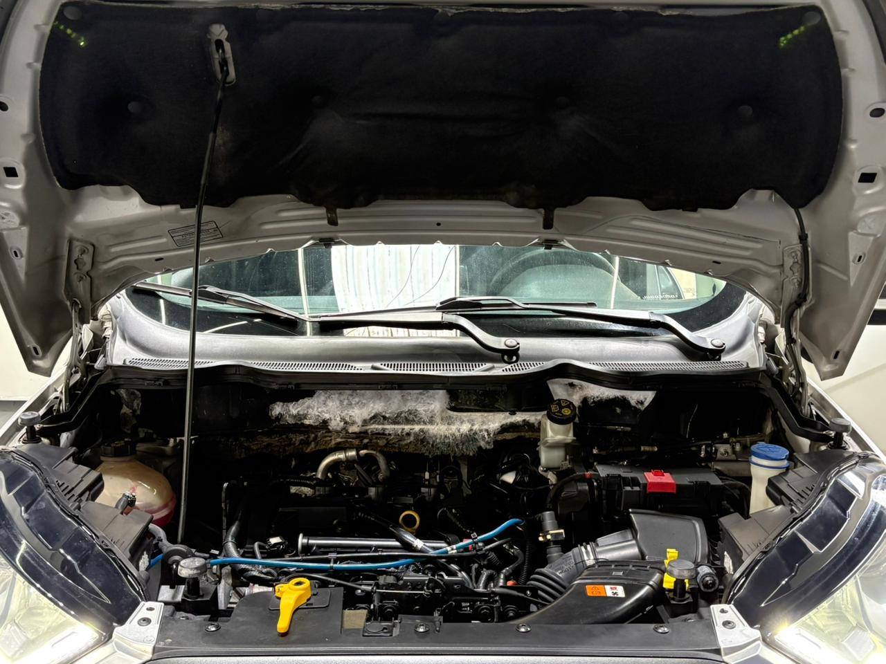 ECOSPORT