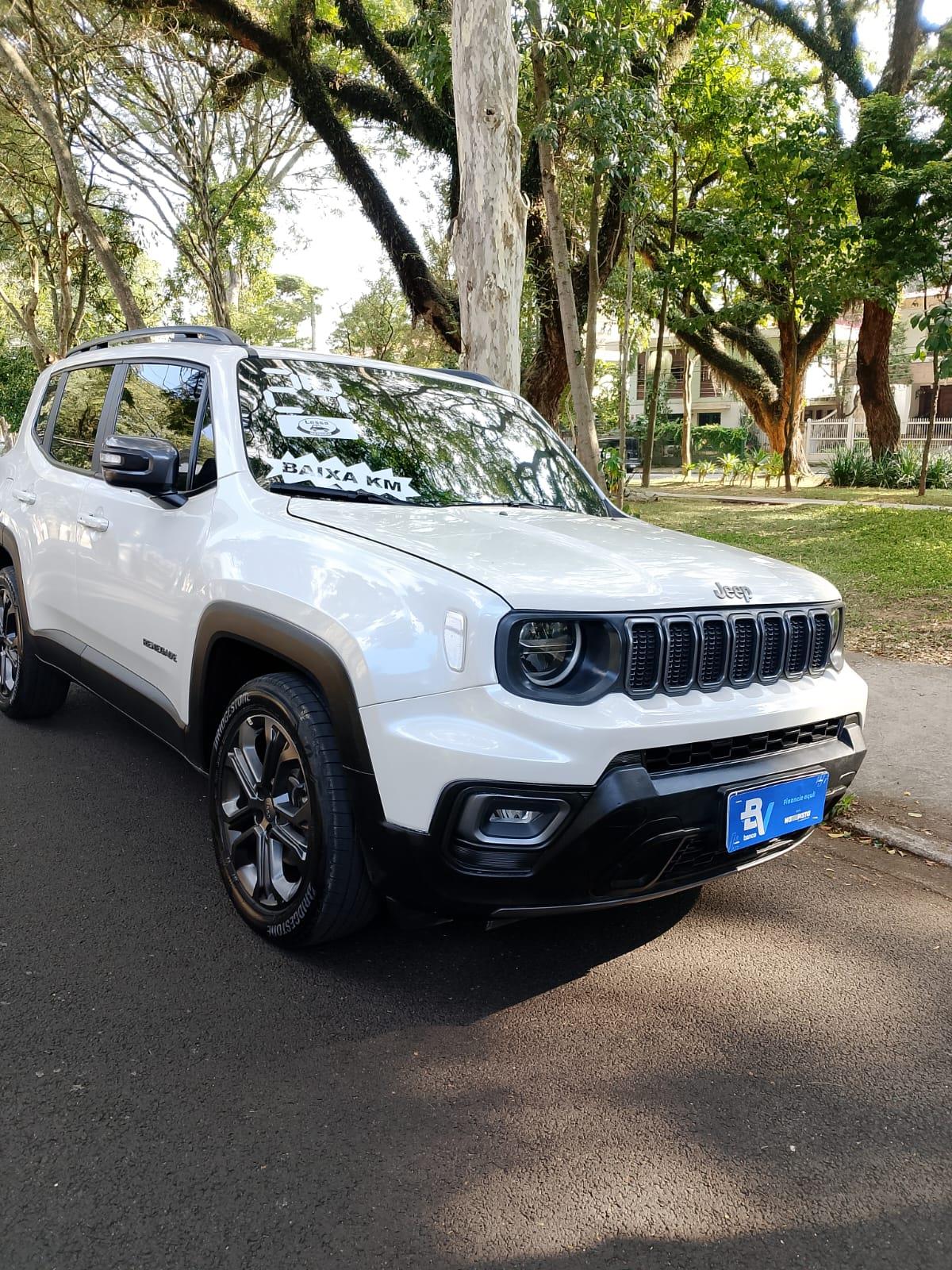 RENEGADE