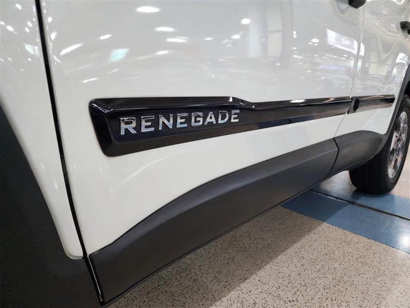 RENEGADE