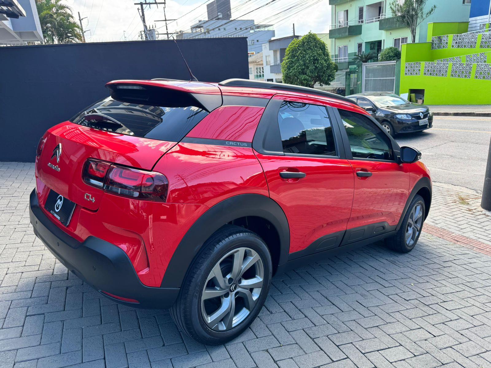 C4 CACTUS